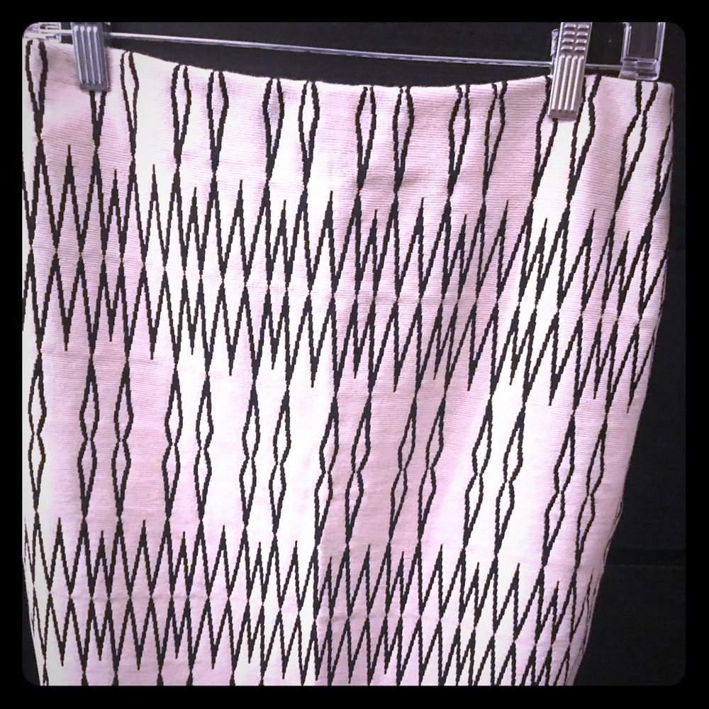 Black and White Zara skirt